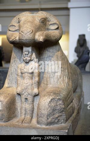 Statue en granit d'Amon sous la forme d'un bélier protégeant le roi Taharqa, sculpture égyptienne, British Museum, Londres. Angleterre. ROYAUME-UNI. Banque D'Images