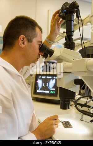 Laboratoire de biologie de la pêche. Polissage et lecture des otolithes et des gonades. AZTI-Tecnalia. Centre technologique spécialisé dans la recherche marine et alimentaire. Banque D'Images