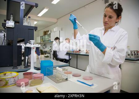 Laboratoire de microbiologie. Tests microbiologiques des aliments. AZTI-Tecnalia. Centre technologique spécialisé dans la recherche marine et alimentaire. Sukarrieta, Bizka Banque D'Images