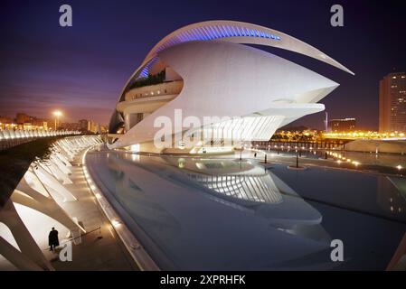 Palais des Arts de la Reine Sofia, Cité des Arts et des Sciences, Valence. Comunidad Valenciana, Espagne Banque D'Images