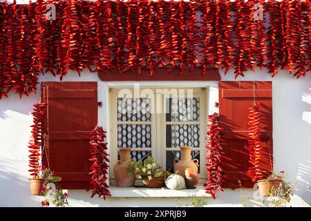 Piments d'Espelette, piments laissés sécher aux murs des maisons, Espelette, Aquitaine, pays Basque, Pyrénées Atlantiques, 64, France Banque D'Images