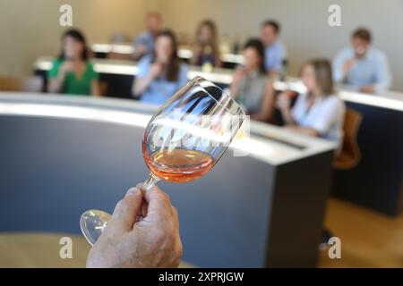 Dégustation de vin, Olarra Winery, de La Rioja, Logroño, Espagne Banque D'Images