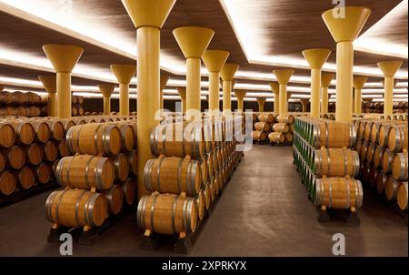 Cave à vin, le Dinastia Vivanco Winery, Briones, La Rioja, Espagne, Europe Banque D'Images