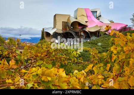 Vignobles en automne, la ville du vin, marques de Riscal cave, bâtiment de Frank O. Gehry, Elciego, Alava, Rioja Alavesa, pays Basque, Espagne, EUR Banque D'Images