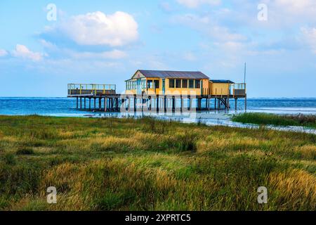 Schiermonnikoog, pays-Bas. Maison de plage sur des poteaux en bois sur la plage la plus septentrionale de l'île de Wadden UNESCO Schiermonnikoog, en bordure de la mer du Nord. Banque D'Images