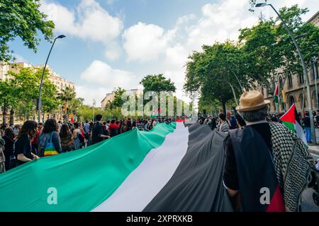 barcelone, espagne - 7 mai 2024 : participation à une manifestation pacifique pour défendre la Palestine. Photo de haute qualité Banque D'Images
