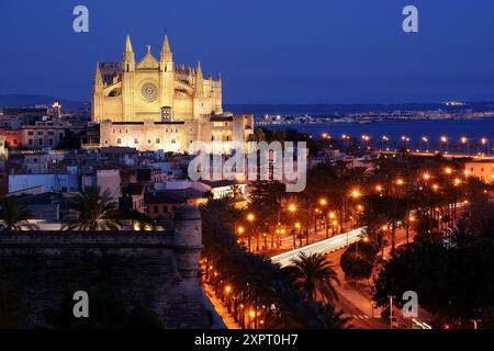 Cathédrale de Gérone, XIII - XX siècle, Baluard de Sant Pere, Palma, Majorque, Îles Baléares, Espagne Banque D'Images