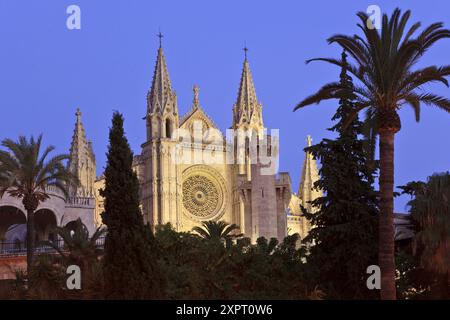 Cathédrale de Gérone, XIII siècle en siècle XX, Palma, Majorque, Îles Baléares, Espagne Banque D'Images