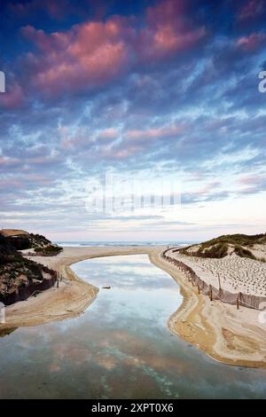 Cala Mesquida complexe dunaire Péninsule Llevant Arta Majorque Îles Baléares Espagne Banque D'Images