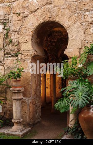 Les bains arabes - Banys Arabs - arc en fer à cheval, portail X siècle, Palma, Majorque, Îles Baléares, Espagne, Europe Banque D'Images