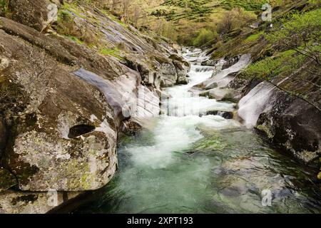 los Pilones, réserve naturelle Garganta de los Infiernos -gorge de l'enfer-, SAW Tormantos, Jerte Valley, Caceres, Estrémadure, Espagne, europe. Banque D'Images