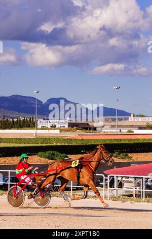 Grand Prix équestre, hippodrome son Pardo, Palma, Majorque, Îles Baléares, Espagne, europe. Banque D'Images