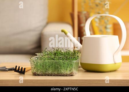 Récipient en plastique avec micro vert frais, arrosoir et râteau sur la table Banque D'Images