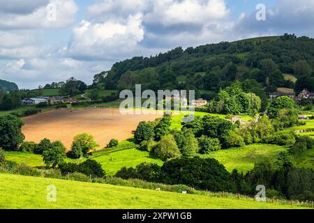 Fermes dans le parc national de North York Moors, Yorkshire, Angleterre Banque D'Images