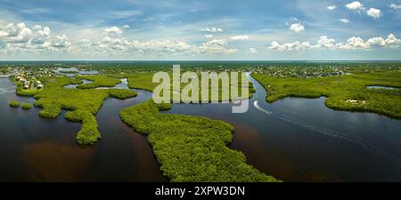 Vue depuis le dessus des everglades de Floride avec végétation verte entre les entrées d'eau de l'océan. Habitat naturel de nombreuses espèces tropicales dans les zones humides Banque D'Images