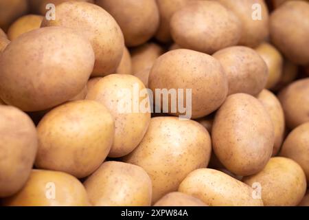Pommes de terre - image plein cadre d'un tas de pommes de terre blanches propres, mûres, fraîchement récoltées. Légume racine amylacé et riche en glucides originaire de l'AME Banque D'Images