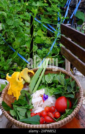 un panier en osier rempli de légumes frais et d'herbes, y compris des épinards, du basilic, une tomate mûre, des tomates cerises, fleur de courge jaune, fraîcheur, ab Banque D'Images