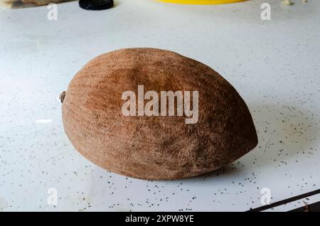 Ripe Mamey Zapote sur une table. Banque D'Images