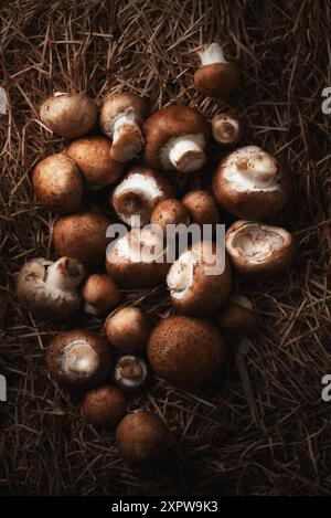 Champignons Baby Bella couchés sur un lit de paille - nature morte Banque D'Images