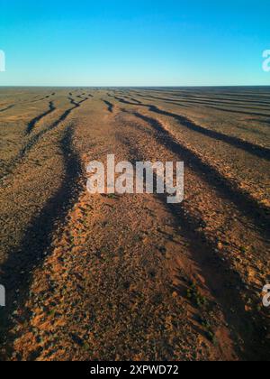 Dunes parallèles, désert de Simpson, outback Australie méridionale, Australie Banque D'Images