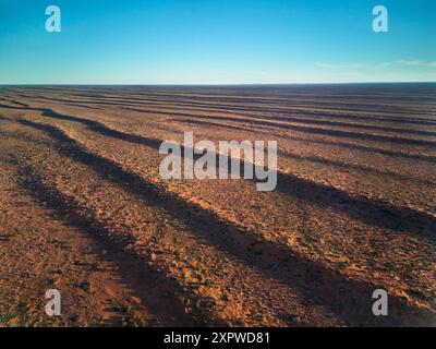 Dunes parallèles, désert de Simpson, outback Australie méridionale, Australie Banque D'Images