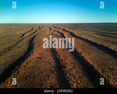 Dunes parallèles, désert de Simpson, outback Australie méridionale, Australie Banque D'Images