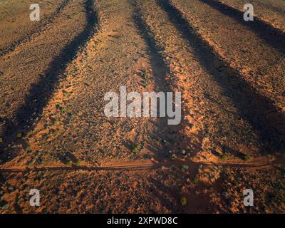 La ligne française, traversant des dunes parallèles, désert de Simpson, outback Australie du Sud, Australie Banque D'Images