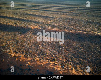 La ligne française, traversant des dunes parallèles, désert de Simpson, outback Australie du Sud, Australie Banque D'Images