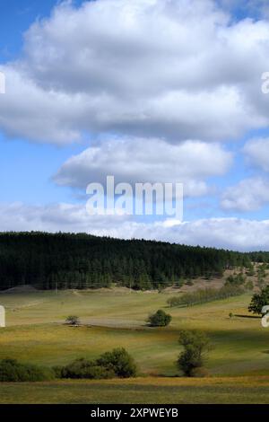 Gros nuages dans le ciel bleu sur la prairie avec des arbres près du Kremna en Serbie occidentale Banque D'Images