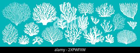 Coraux de récif marin et silhouettes ou empreintes d'algues marines, icônes blanches vectorielles. Dessin animé sous-marin et océan faune sous-marine fond de plantes avec cor Illustration de Vecteur