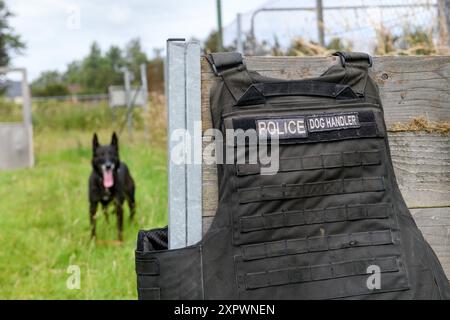 Un gilet de maître-chien de police, Royaume-Uni. Banque D'Images