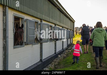 17 septembre 2022 : chevaux de course regardant les visiteurs d'une journée portes ouvertes à Plantation Farm, domicile de Richard Bandy Racing à Kingsclere, Hampshire, sur un ensoleillé Banque D'Images