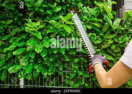 Jardinier utilisant un taille-haie pour couper les buissons dans la cour arrière. Jardinage, concept d'aménagement paysager. Banque D'Images