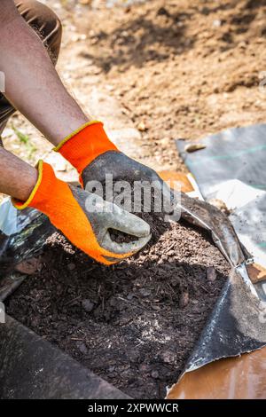 Mains dans des gants tenant le paillis d'écorce. Concept de jardinage - protection contre les mauvaises herbes. Banque D'Images