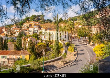 Vue panoramique sur le petit village de Bormes le Mimosas dans le sud de la France avec des mimosas jaunes qui fleurissent sous la lumière chaude de l'hiver Banque D'Images