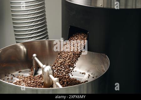 Grains de café torréfiés tombant dans le tambour de refroidissement pendant la production Banque D'Images