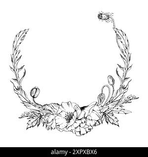Feuilles de fleurs d'illustration botanique graphique vectorielle dessinées à la main. Papave de coquelicot rouge, tiges bourgeons graines. Cadre de couronne isolé fond blanc Illustration de Vecteur