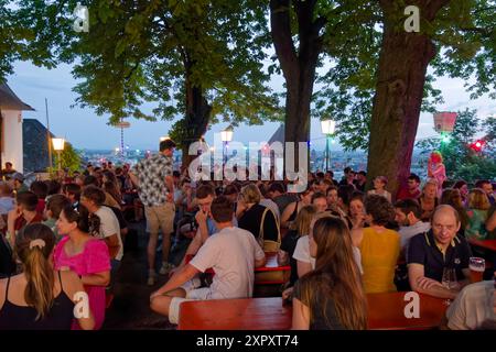 Vue publique EM 2024, Kastaniengarten auf dem Schloßberg, Biergarten, Freiburg im Breisgau, Schwarzwald, Deutschland Banque D'Images