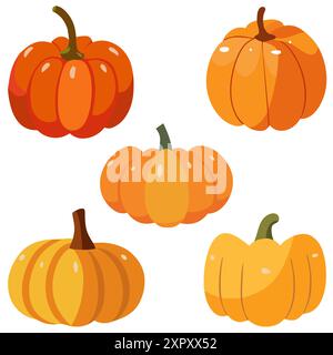 Ensemble de citrouilles. Récolte d'automne. Illustration vectorielle de style de dessin animé. Illustration de Vecteur