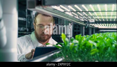 Portrait d'un cultivateur agricole travaillant dans un couloir dans une installation agricole verticale à côté d'un rack avec des plantes fraîchement cultivées. Technicien hydroponique caucasien étudiant et cultivant de près les cultures Banque D'Images