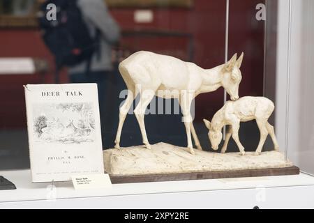 Phyllis M Bones ( Royal Scottish Academy ) sculpture animalière et livre exposés dans la galerie d'art Kirkcudbright Galleries Scotland UK Banque D'Images