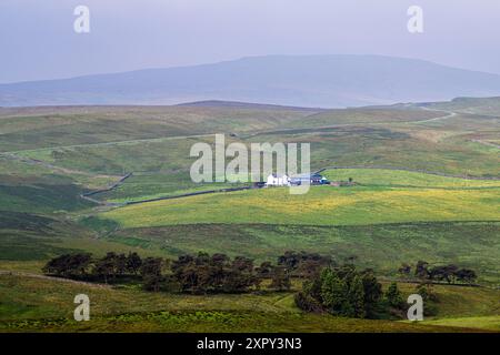 Fermes sur Upper Teesdale et River Tees, village de Forest-in-Teesdale, comté de Durham et Cumbria, Angleterre, Royaume-Uni Banque D'Images