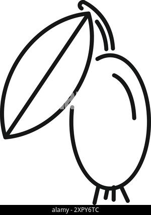 Dessin au trait minimaliste d'un fruit feijoa avec feuille toujours attachée à la branche Illustration de Vecteur