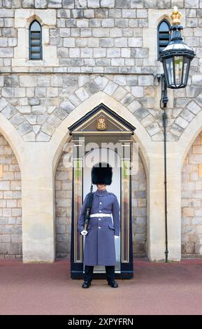 Sentinelle des Welsh Guards au château de Windsor, Windsor, Berkshire, Angleterre Banque D'Images