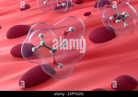 Acide lactique dans le tissu musculaire - illustration 3d vue rapprochée Banque D'Images