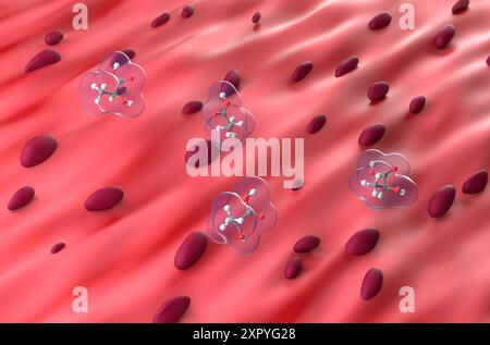 Acide lactique dans le tissu musculaire - vue isométrique de l'illustration 3D. Banque D'Images