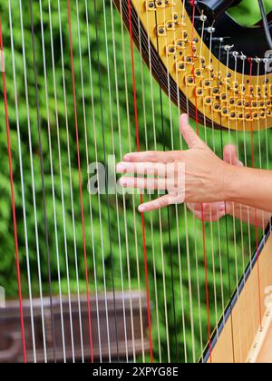 Mains jouant de la harpe, capturées dans un moment musical. Parfait pour les amateurs de musique, les loisirs, la culture, la sensualité, ou comme arrière-plan. Banque D'Images