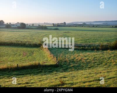 le soleil matinal brille sur les prairies à ooijpolder près de nimègue aux pays-bas tôt le matin d'été Banque D'Images