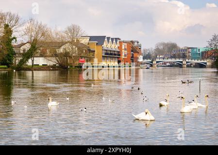 Windsor Riverside, Berkshire, Angleterre Banque D'Images