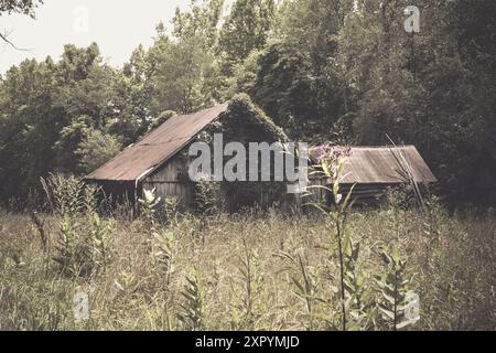 Propriété abandonnée envahie dans le midwest américain avec effet de filtre vintage Banque D'Images